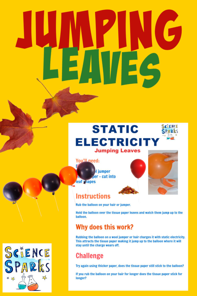 Image of autumn coloured leaves, balloons and instructions for a static electricity experiment