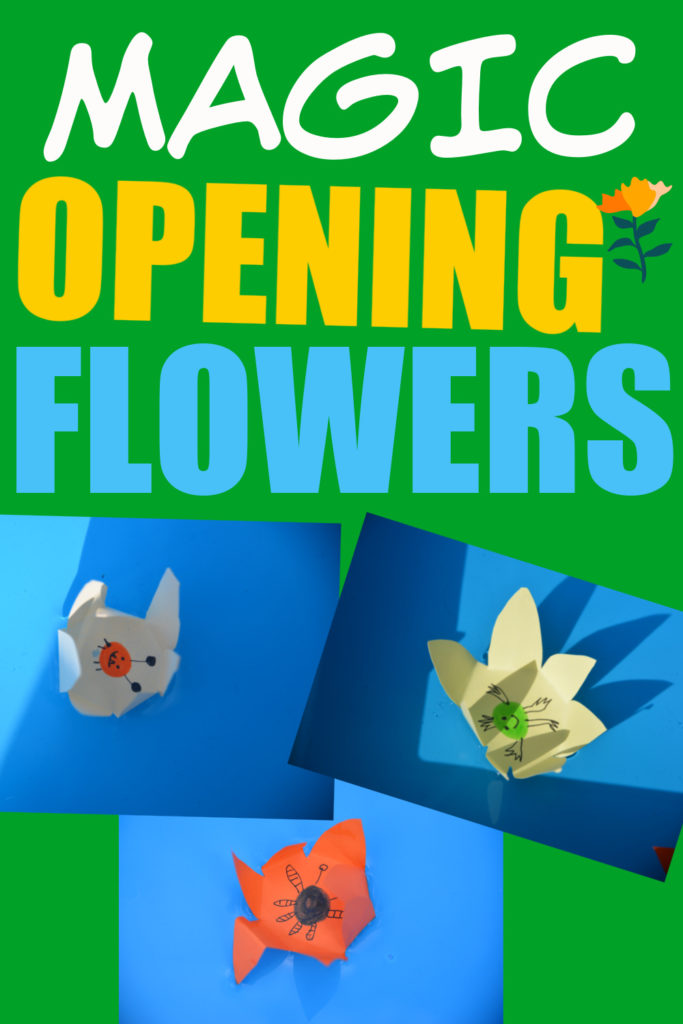 Collage of magic opening flowers made from paper. the flowers are sat in a tray of water