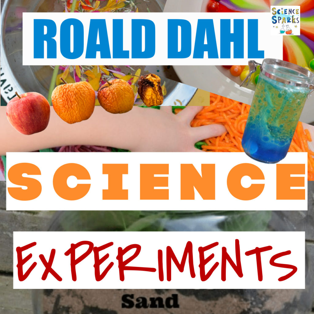 collage of lava lamps, rotting apples, a wormery and more ideas for science experiments based on Roald Dahl's books.