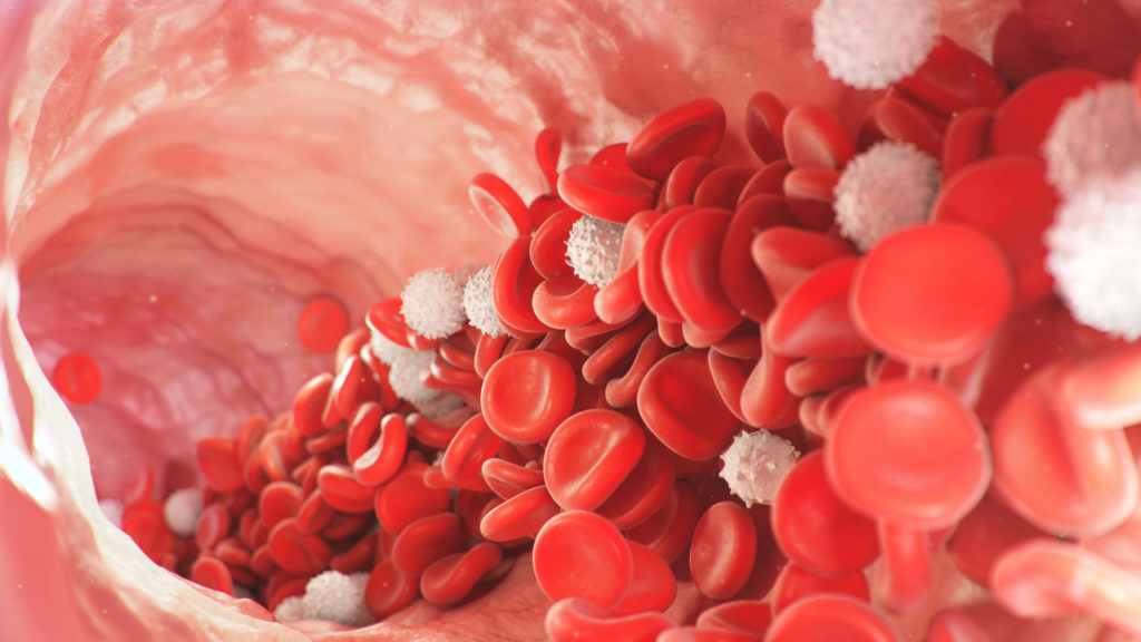 Red blood cells inside an artery, vein. Flow of blood inside a living organism. Scientific and medical concept. Transfer of important elements in the blood to protect the body, 3d illustration