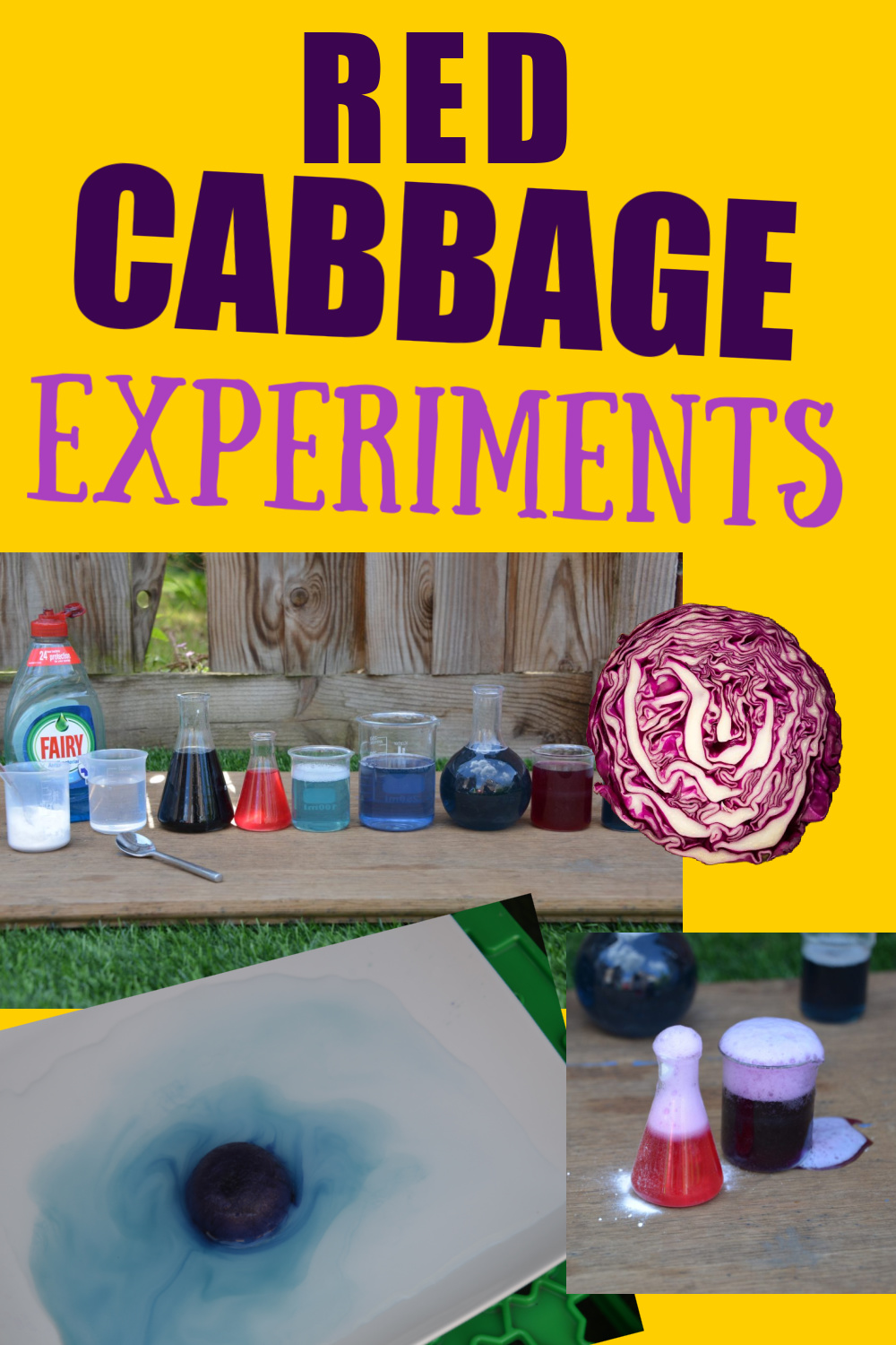 Red Cabbage Experiments