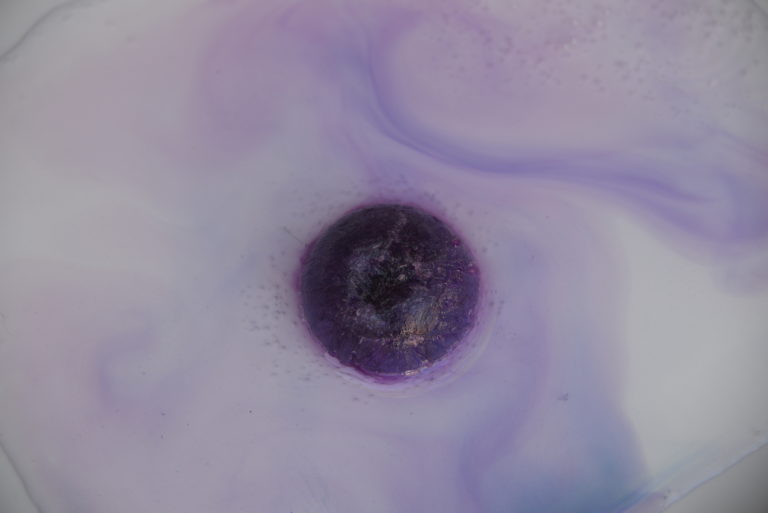 Red Cabbage Experiments