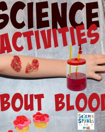 science activities for learning about blood