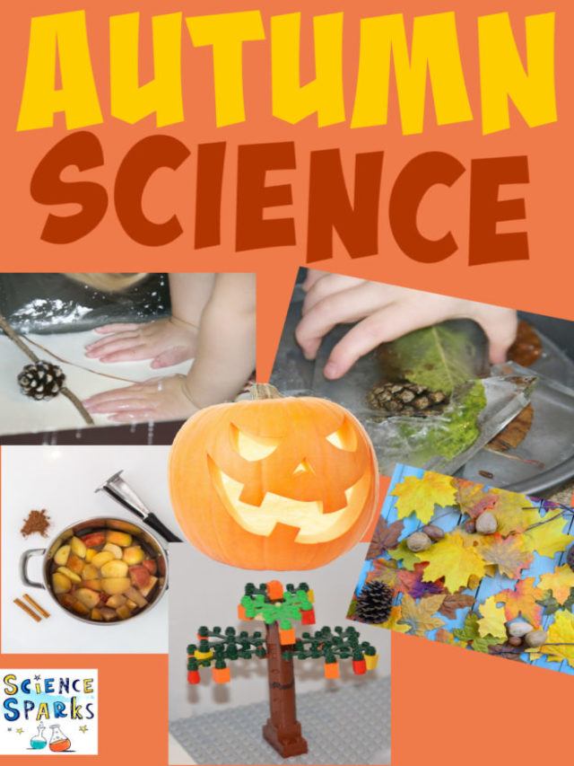 Autumn and Fall Science Experiments
