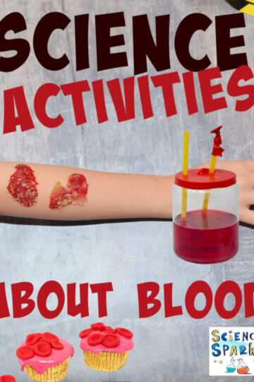 cropped-Blood-Pin-e1632394119424.jpg