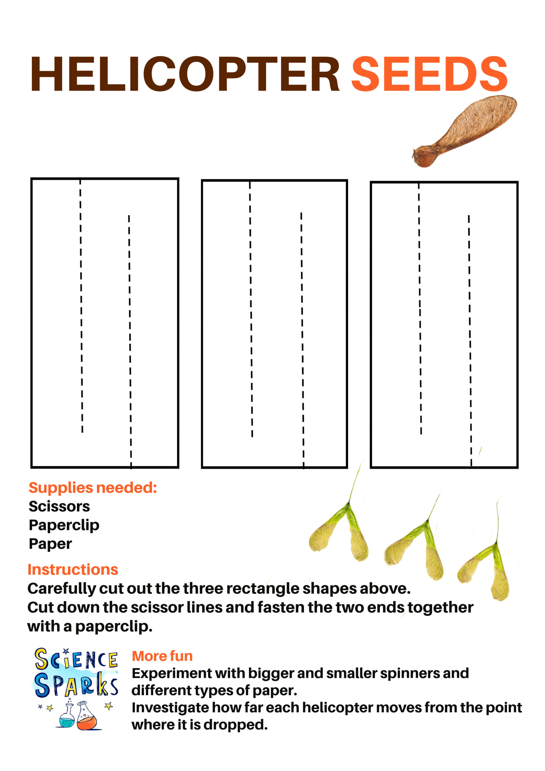 Instructions for a seed dispersal activity