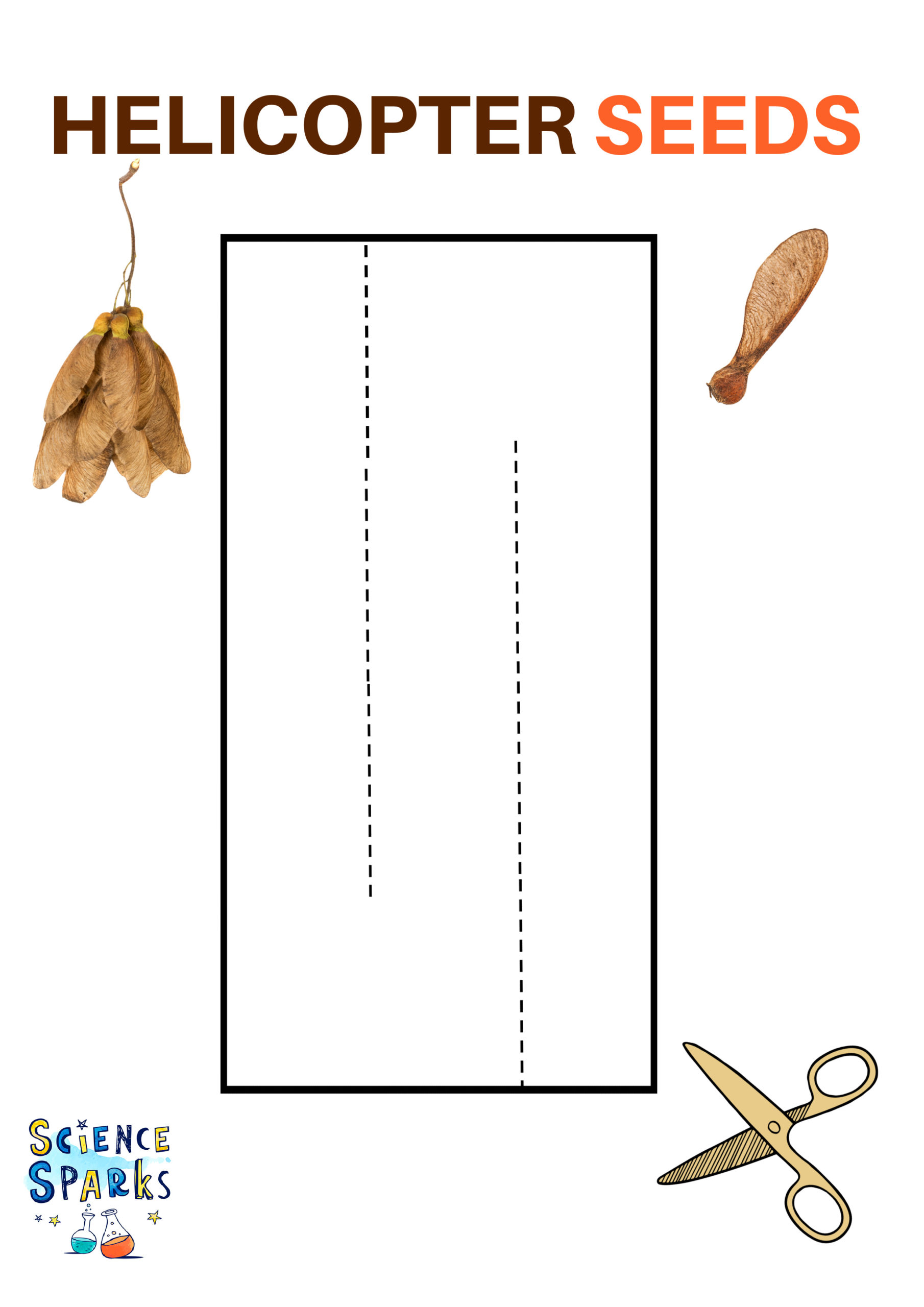 Template for a paper spinner to demonstrate seed dispersal