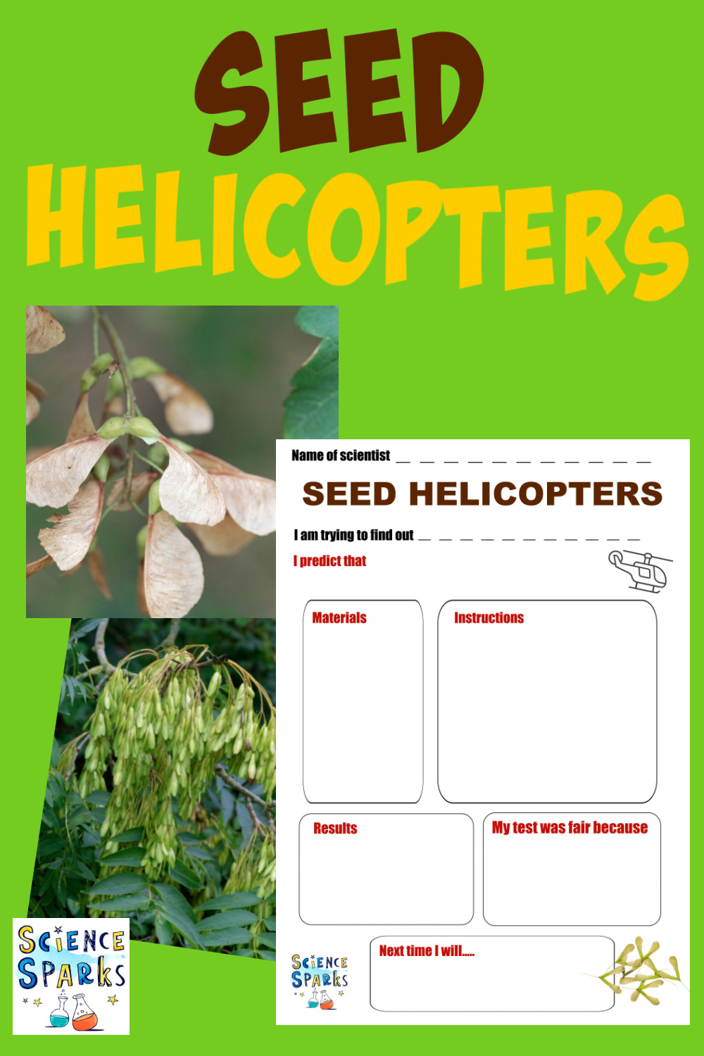 seed helicopter science activity - great autumn science for kids and perfect for learning about seed dispersal.