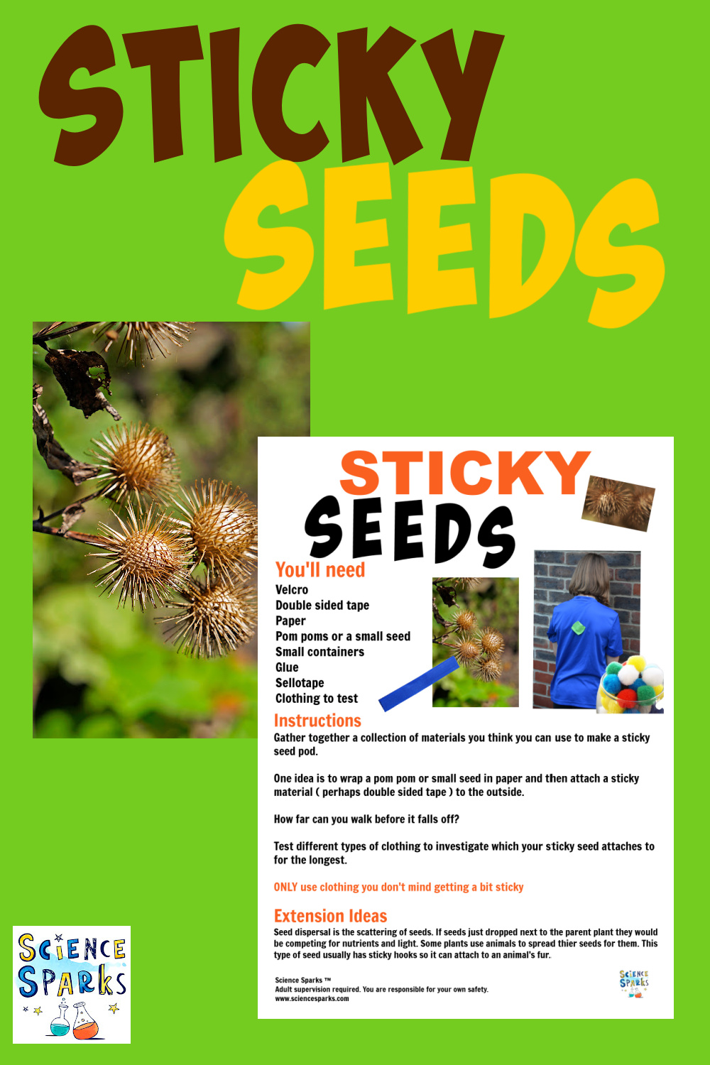 Image of a burdock seed and instructions for a sticky seed activity.