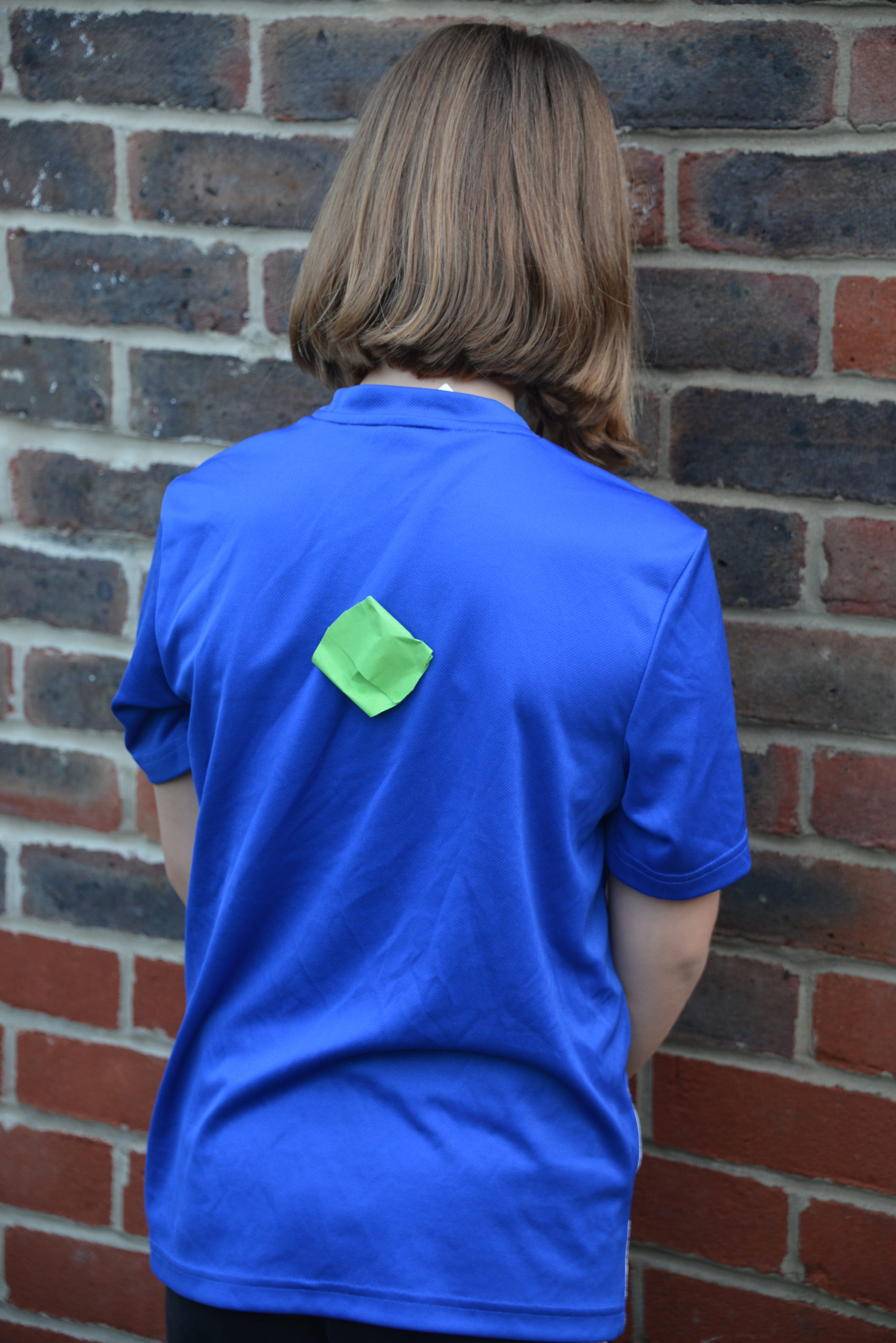 sticky seed attached to a girls t shirt as part of a seed dispersal activity