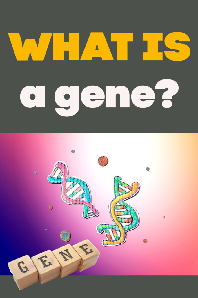 Image of cartoon DNA for learning about genes.