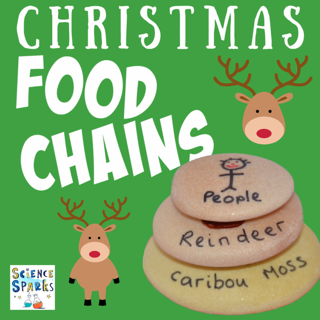 Christmas food chains. Image of three different sized stones each with  part of the food chain on them