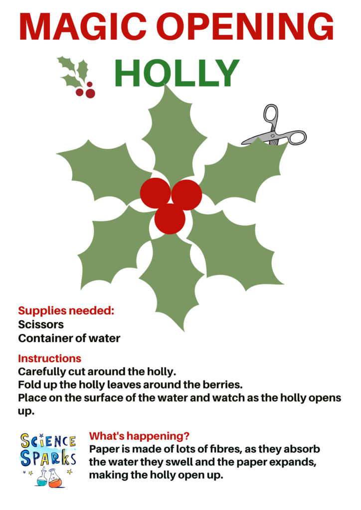 free printable holly for a fun science experiment where the petals open
