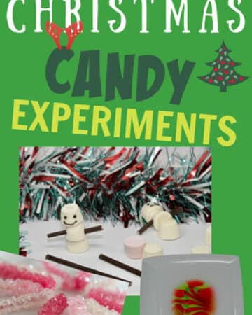 Christmas candy experiments - skittles in a candy cane shape, sugar crystal lollypops