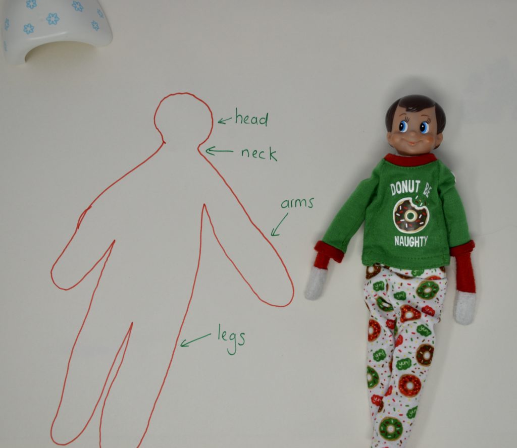 elf lying on paper, someone has drawn around him and labelled body parts