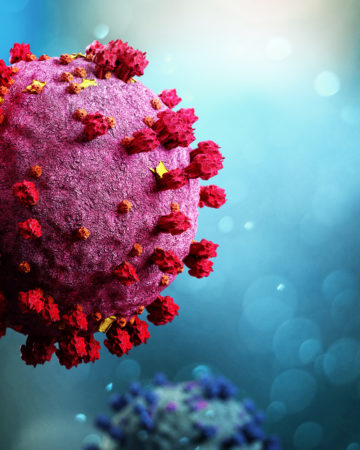 Coronavirus 3D image