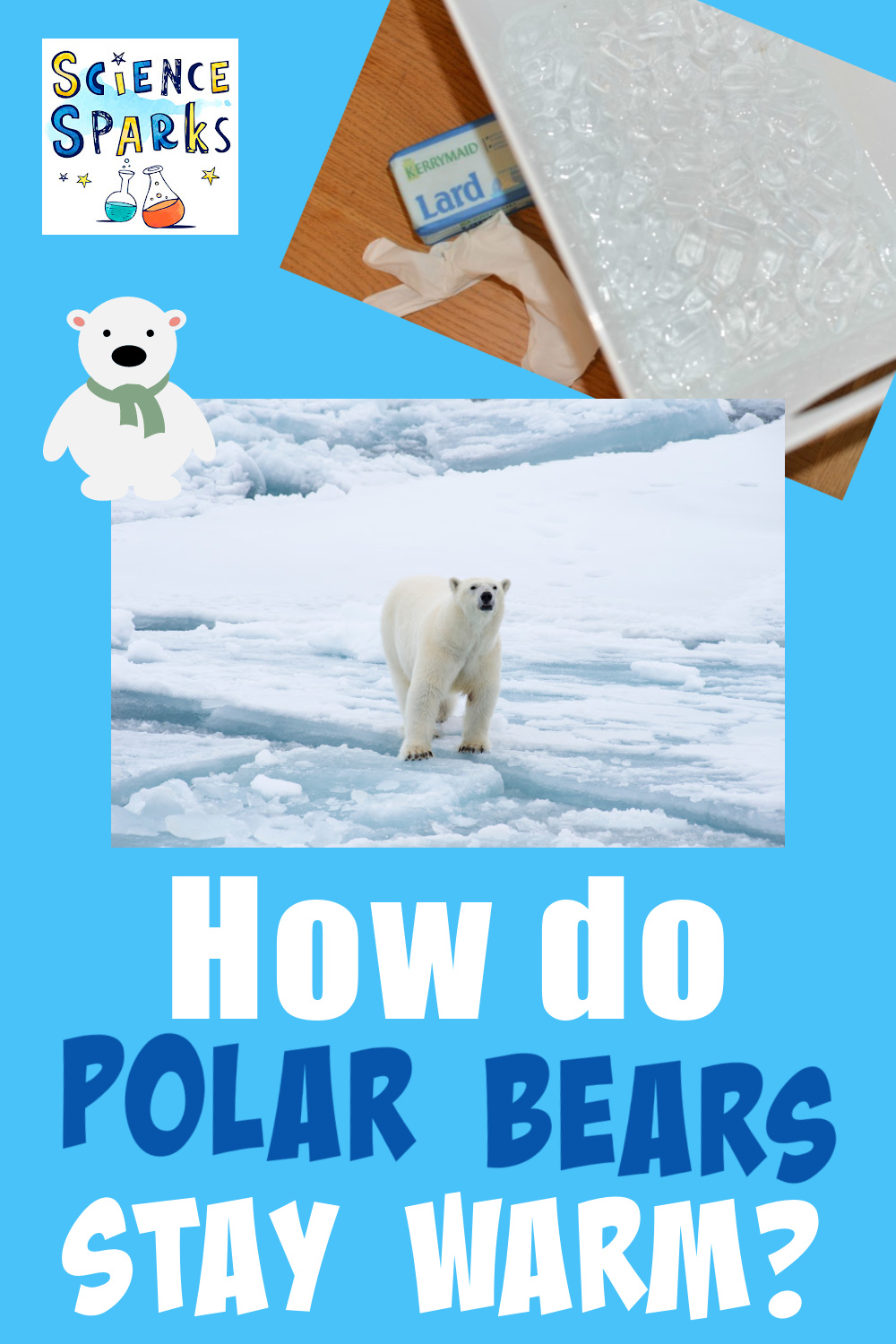 How do animals stay warm in winter animal science for kids