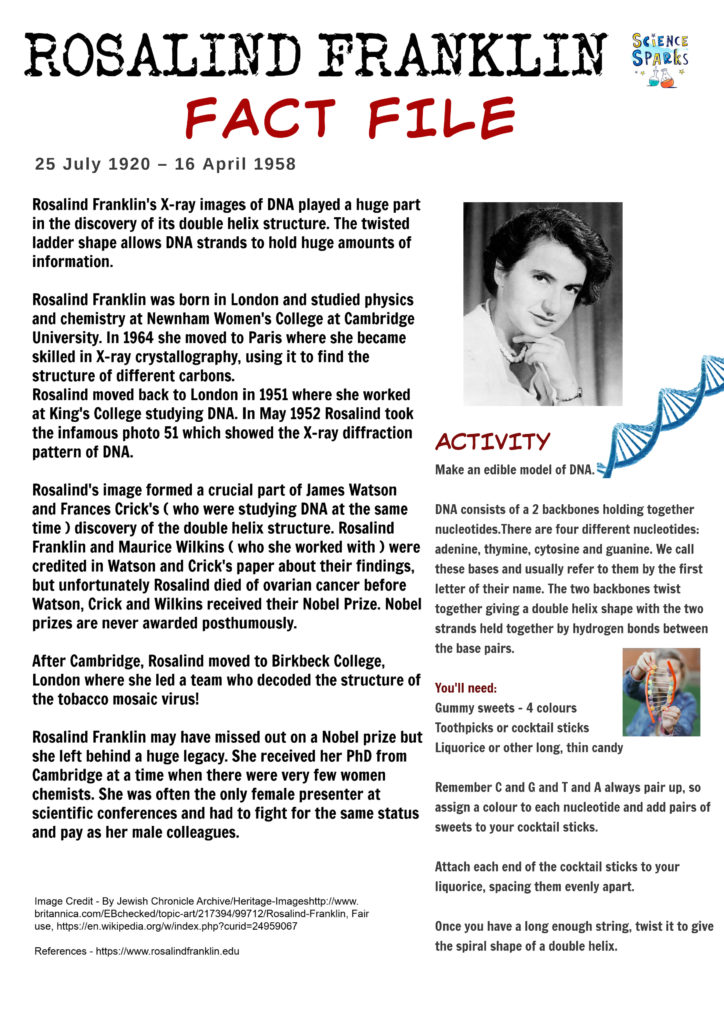 Rosalind Franklin Fact File and DNA model activity