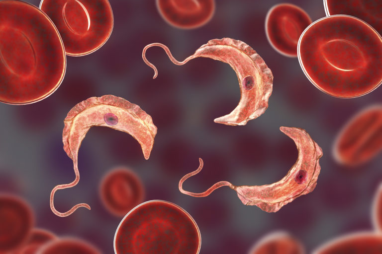 What is a pathogen?