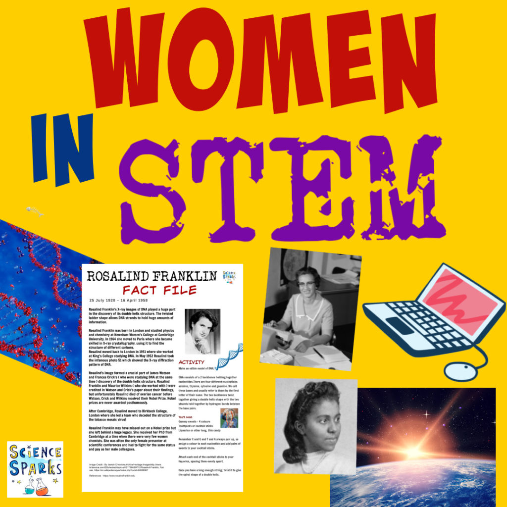 collage of a fact file about women in STEM