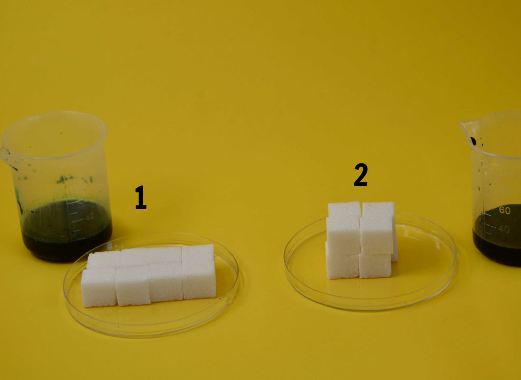 surface area to volume ratio experiment using sugar cubes