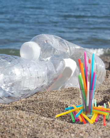 Image of single use plastic water bottle and straws on the beach