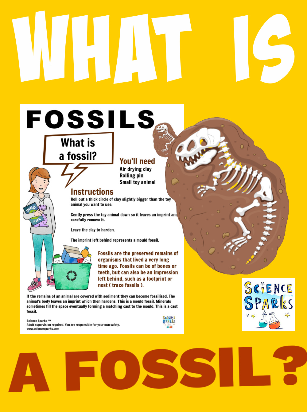 Image of a fossil making activity for learning about fossils