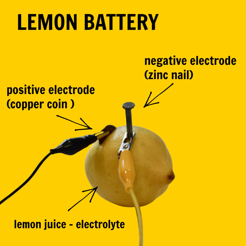 a lemon battery made with a zinc nail and a copper coin