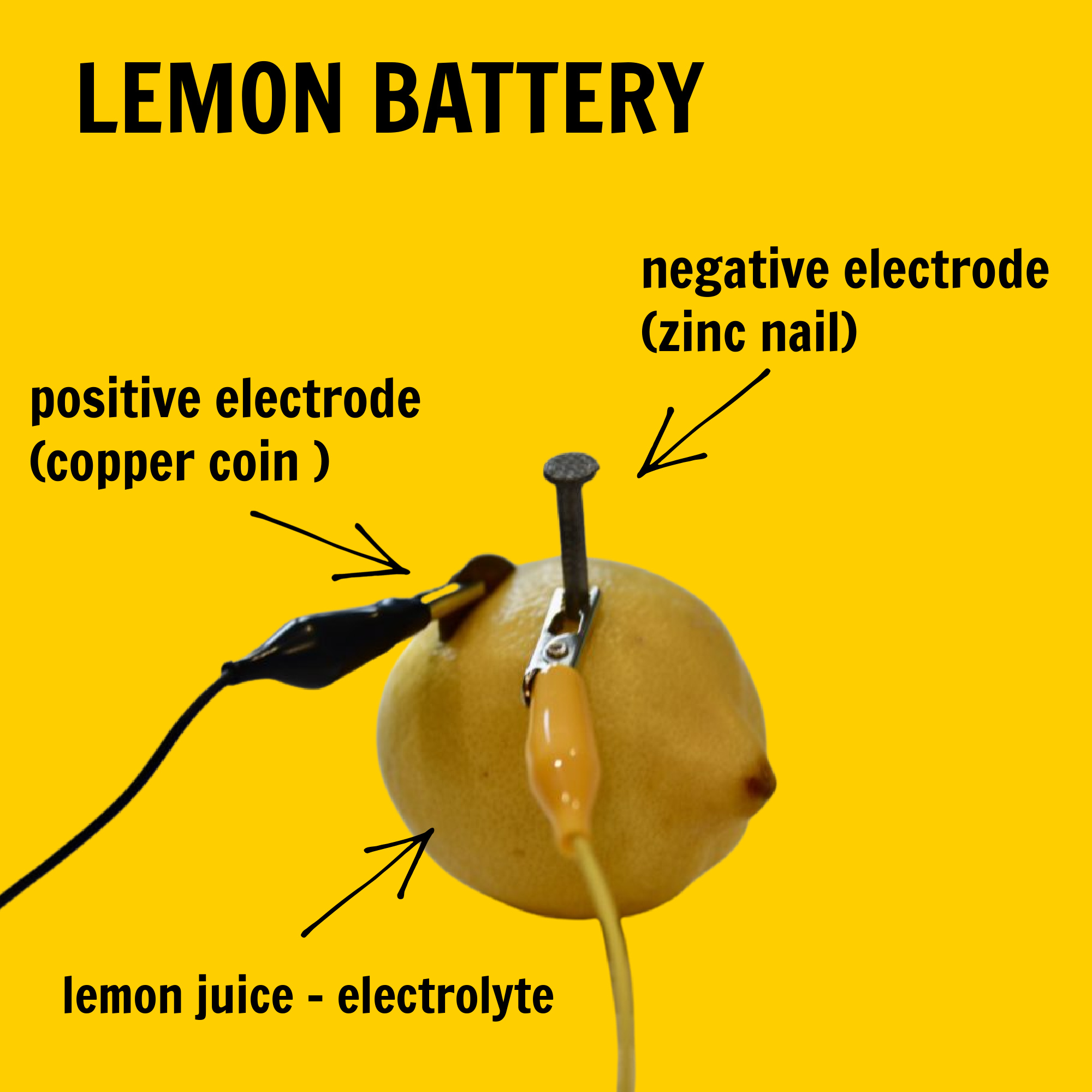 a lemon battery made with a zinc nail and a copper coin