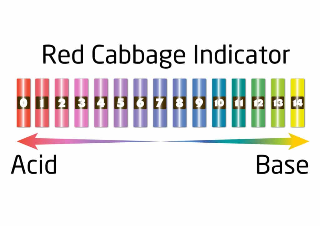 red cabbage indicator scale - image shows the changing colours