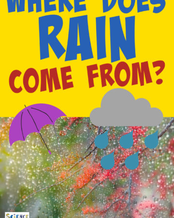 Where does rain come from? Image of rain and a cartoon cloud