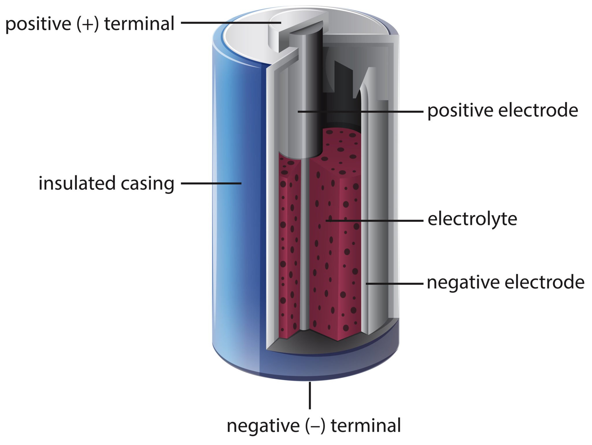 labelled diagram of a dry cell battery