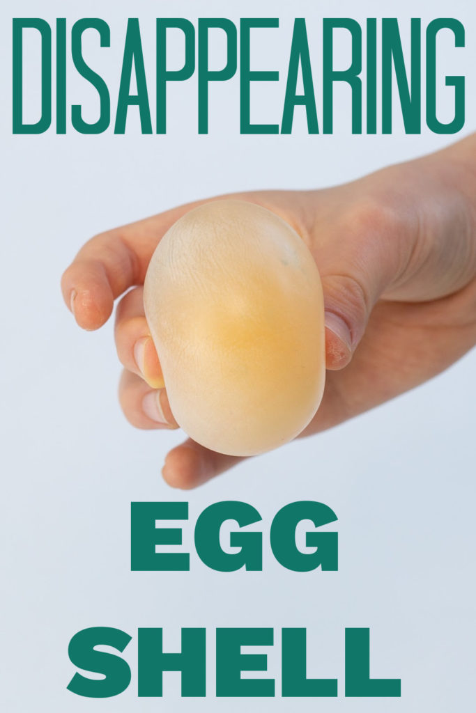 Image of a hand holding an egg shell