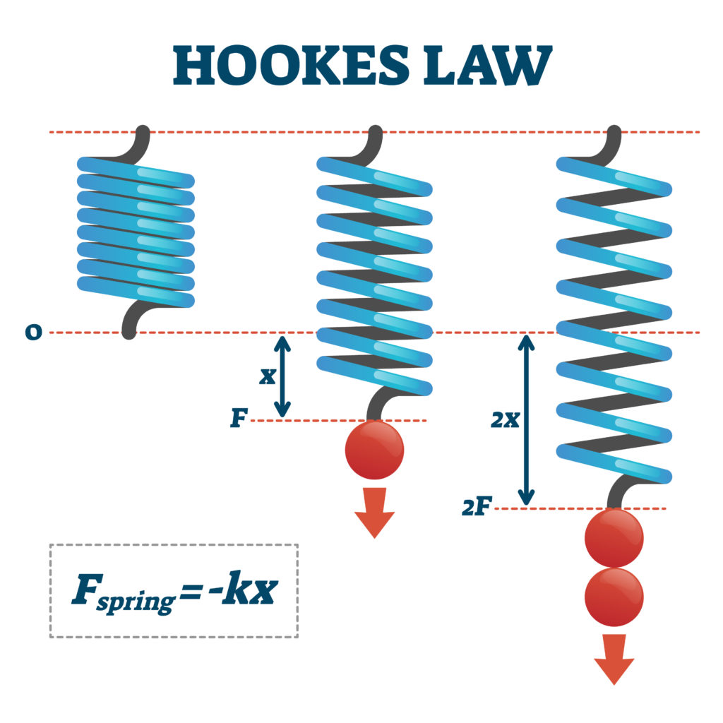 Diagram of 3 springs used to explain Hooke's Law