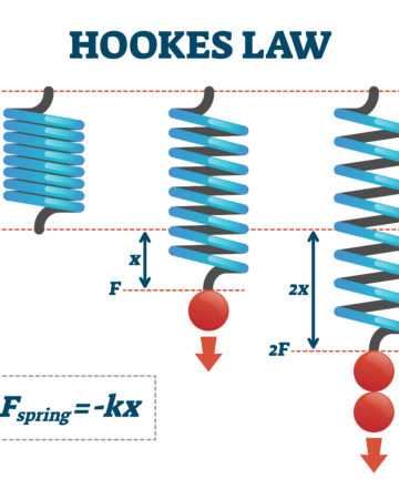 Hooke's law vector illustration