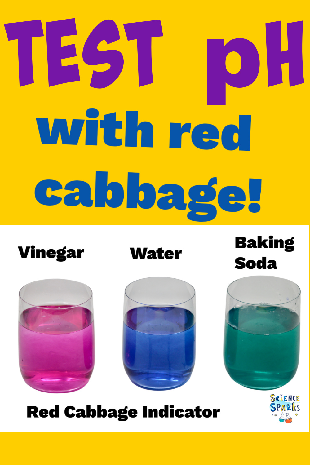 Using red cabbage indictor to test pH
