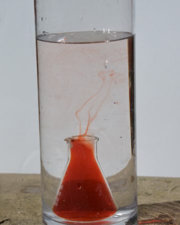 Second in a series of convection current demonstrations showing warm red water rising up through cold water