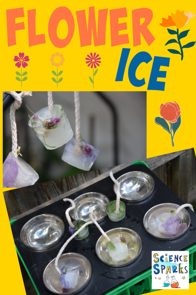 Collage of flower ice images