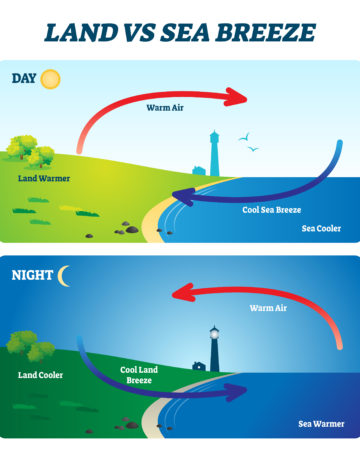 land versus sea breeze diagram