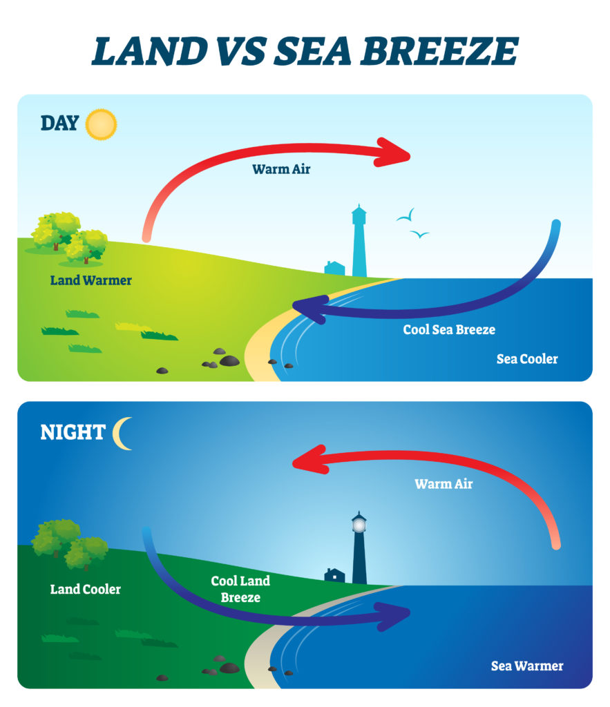 Land vs sea breeze diagram showing day and night time convection currents by the sea.