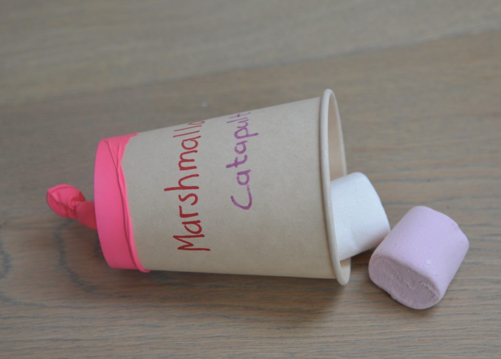 Marshmallow catapult made with a paper cup and balloon