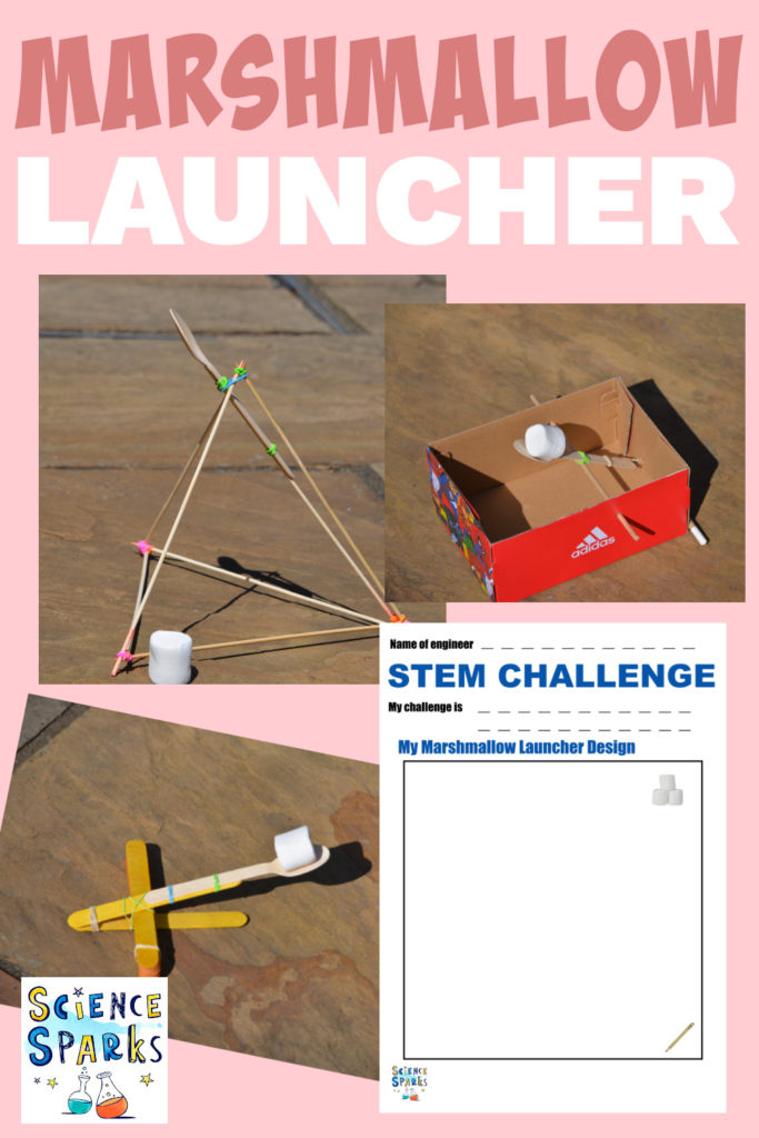 collage of various marshmallow catapults and launchers for a science experiment
