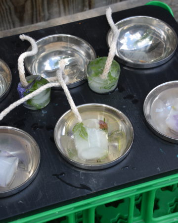 ice decorations melting in a tray as a summer STEM challenge