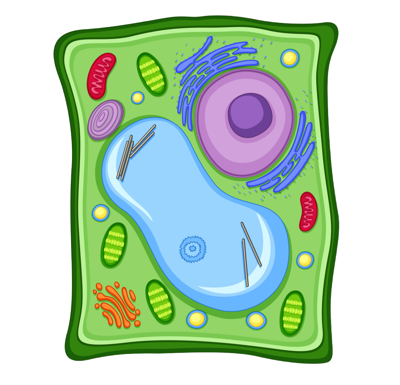 Science Experiments For Kids science-experiments-for-kids