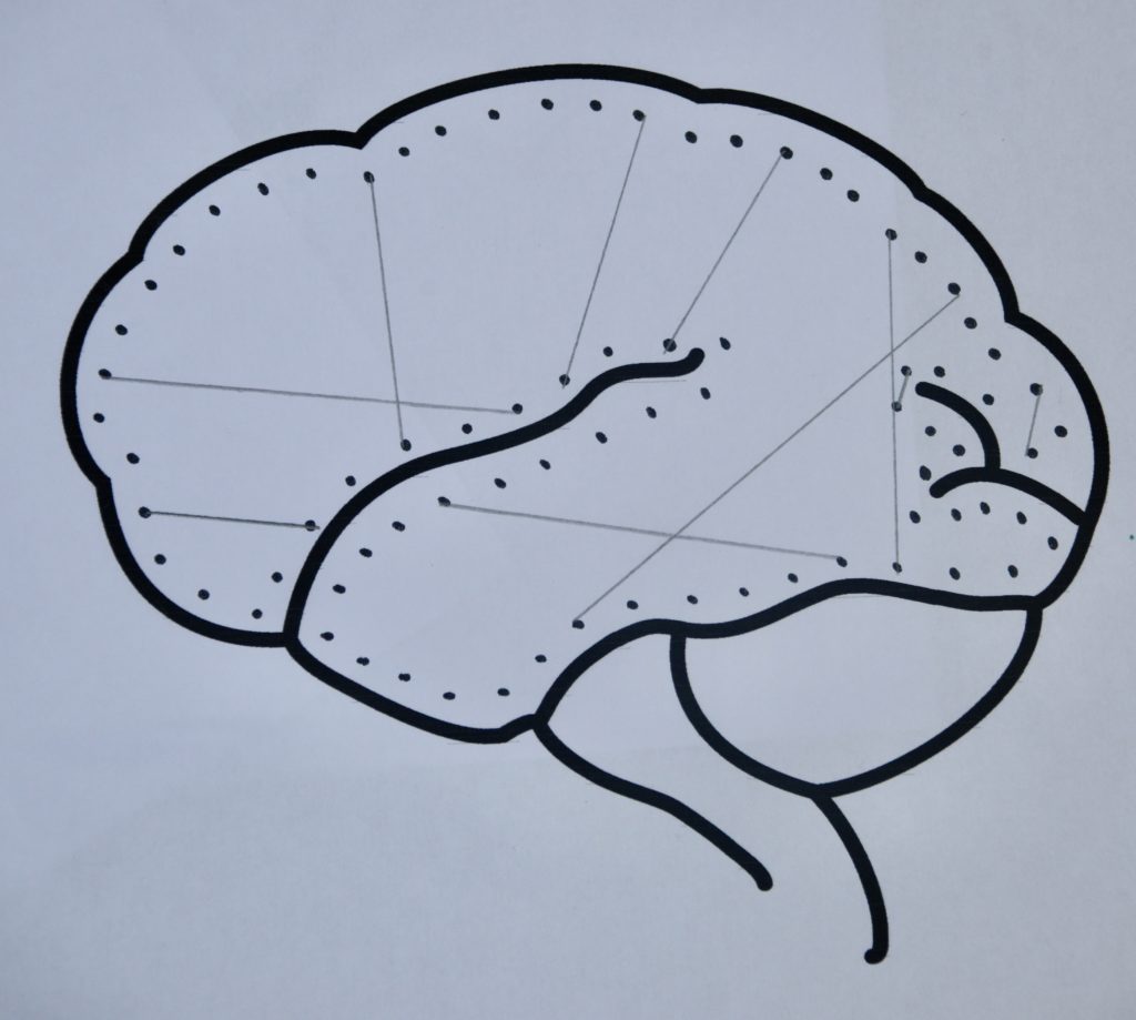 Simple Brain Connectome
