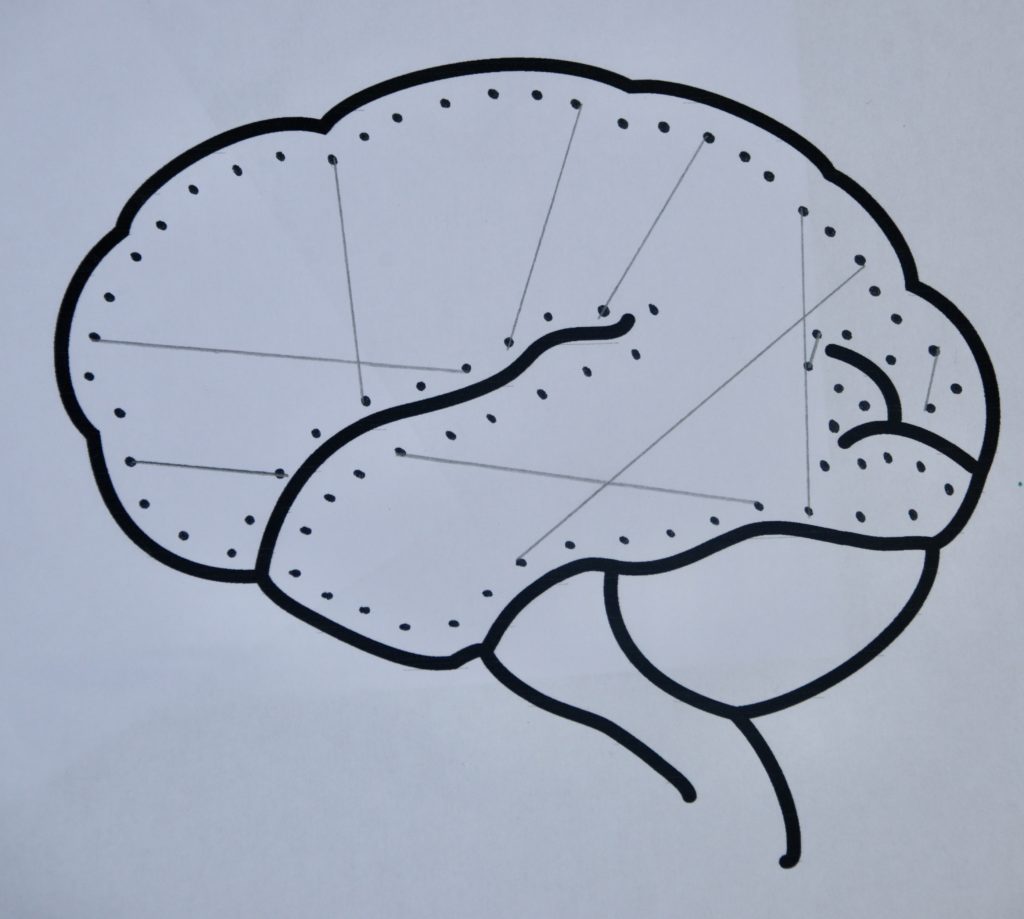 brain template printable