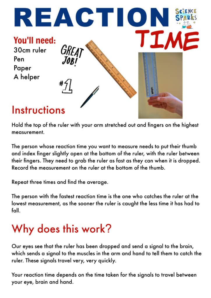 reaction time science investigation instructions