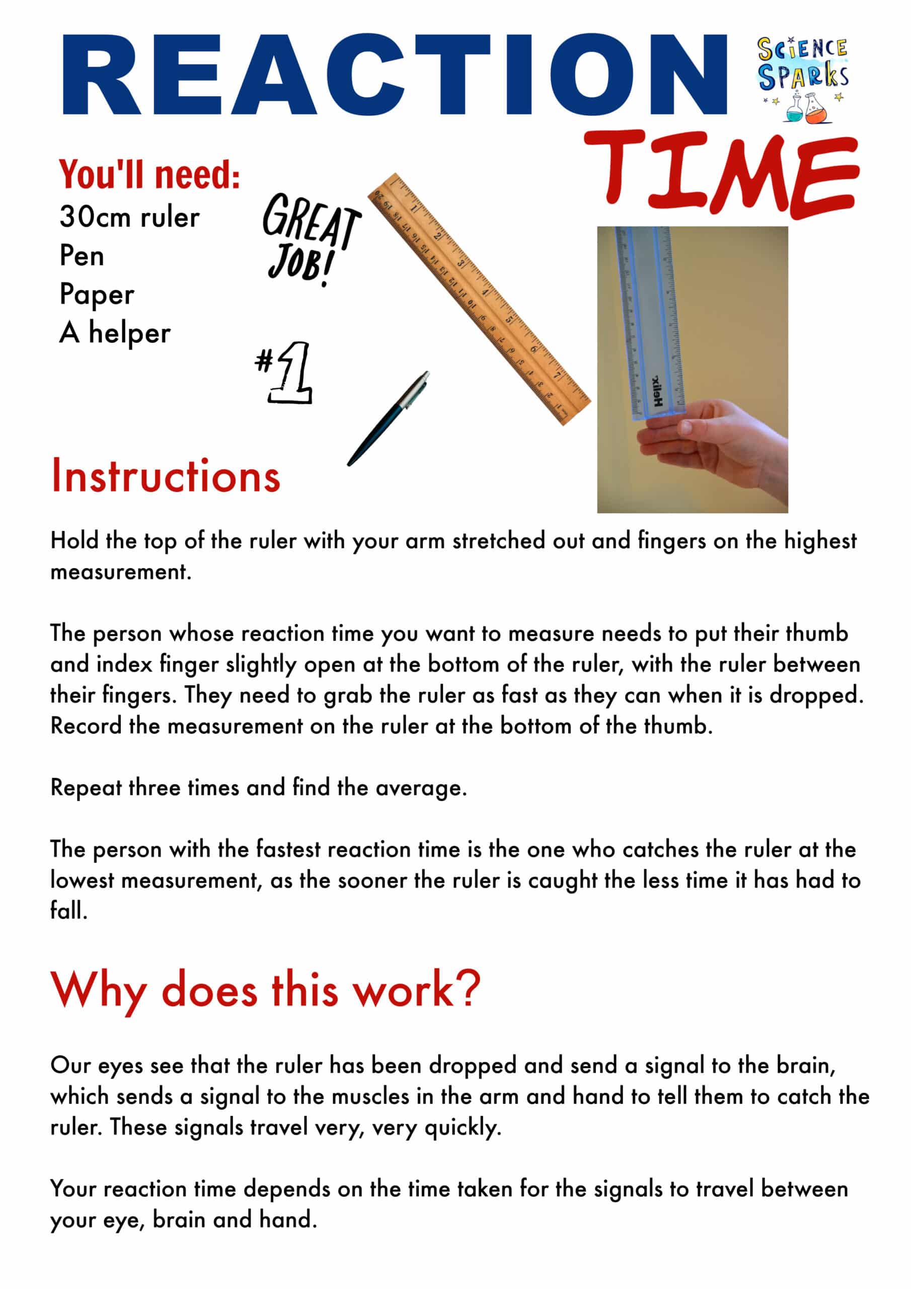 How to Test your Reaction Time - Science for Kids