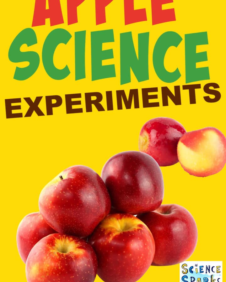 Science Experiments for Kids