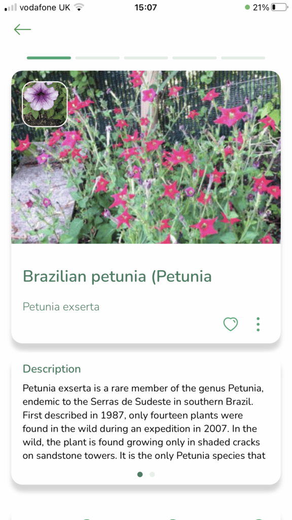 screenshot from PlantSnap app correctly identifying a plant